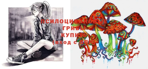 спайс Абаза