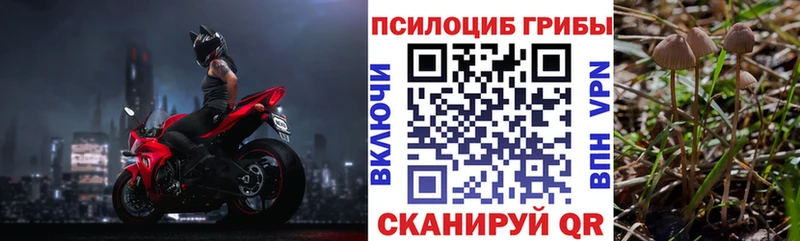 кракен tor  Агидель  Галлюциногенные грибы Psilocybe  цены  